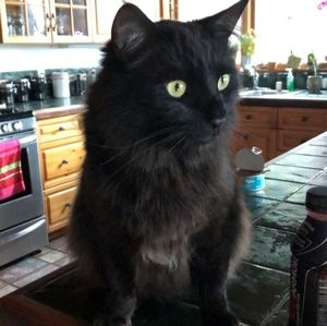 Meet your Posher, Marcela